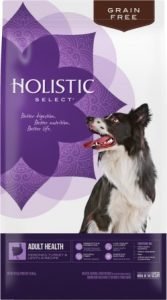 Holistic Select Adult Health Deboned Turkey & Lentils Recipe Grain-Free Dry Dog Food