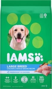 Iams ProActive Health Adult Large Breed Dry Dog Food – Affordable Pick