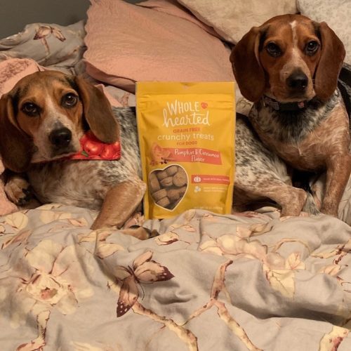Give Beagles Healthy Treats