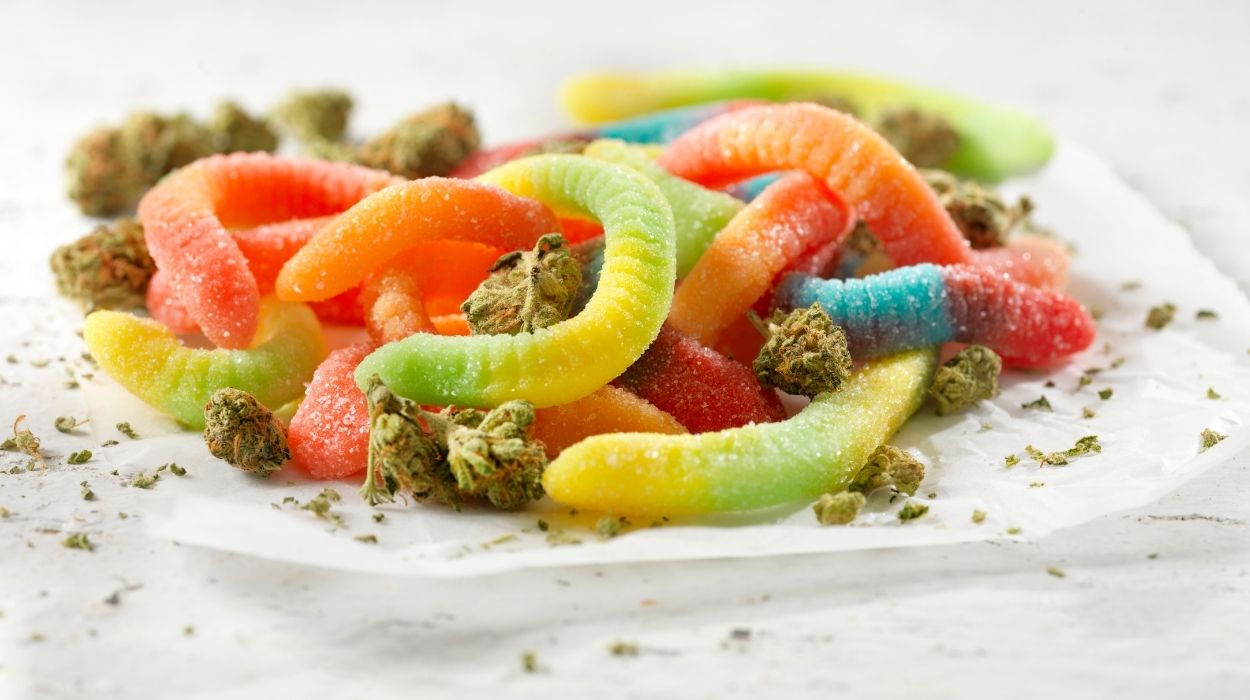 Can Dogs Eat Sour Gummy Worms?