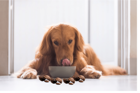 Can Dogs Eat Walnut Shells