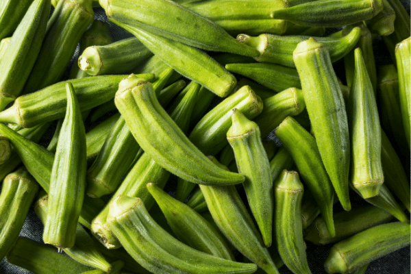 Is it safe to feed your dog Okra