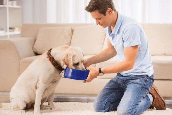 Try feeding your dog less to get firm poop.