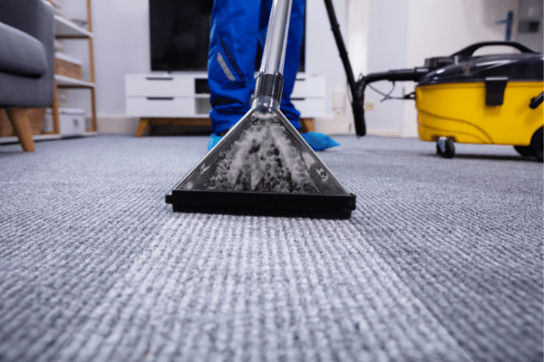 Cleaning Your Carpet What You Need to Do
