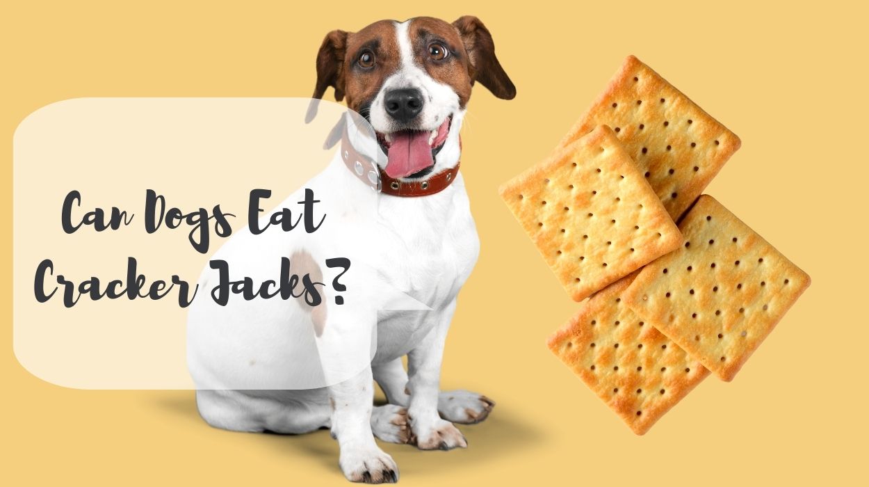 Can Dogs Eat Cracker Jacks?