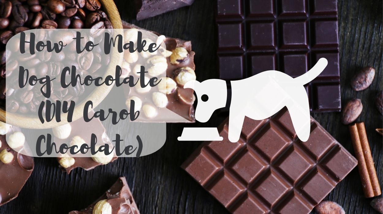 How to Make Dog Chocolate (DIY Carob Chocolate)