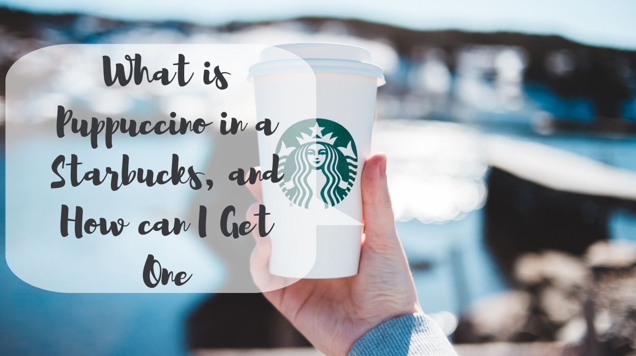 Puppuccino in a Starbucks,